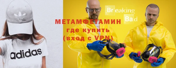 сатива Белокуриха