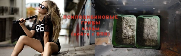 сатива Белокуриха