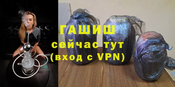 сатива Белокуриха