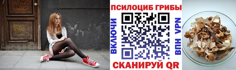 Псилоцибиновые грибы Cubensis  Ковылкино 